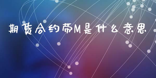 期货合约带M是什么意思_https://www.ltsssb.com_期货在线_第1张