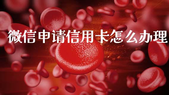 微信申请信用卡怎么办理_https://www.ltsssb.com_基金频道_第1张