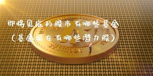 即将见底的股市有哪些基金（基金现在有哪些潜力股）_https://www.ltsssb.com_基金频道_第1张