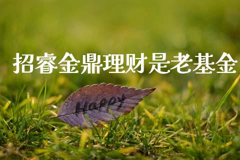 招睿金鼎理财是老基金_https://www.ltsssb.com_基金频道_第1张