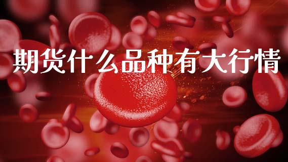 期货什么品种有大行情_https://www.ltsssb.com_期货行情_第1张