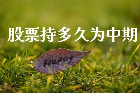 股票持多久为中期_https://www.ltsssb.com_国际财经_第1张