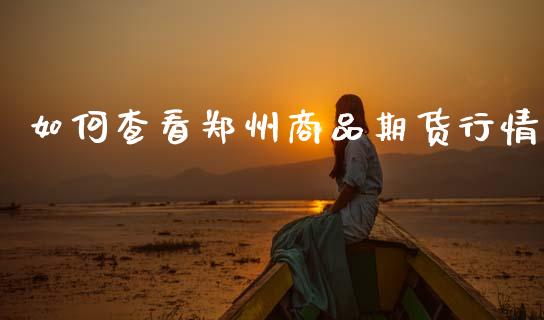 如何查看郑州商品期货行情_https://www.ltsssb.com_期货在线_第1张