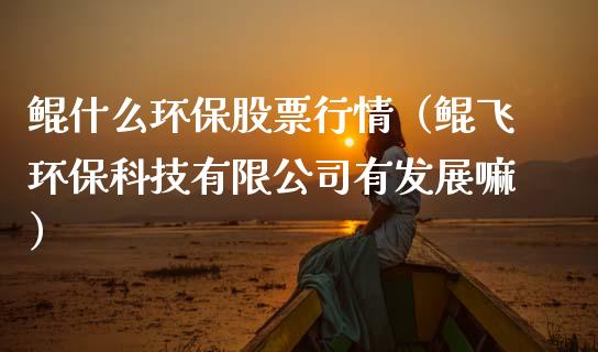 鲲什么环保股票行情（鲲飞环保科技有限公司有发展嘛）_https://www.ltsssb.com_新股数据_第1张