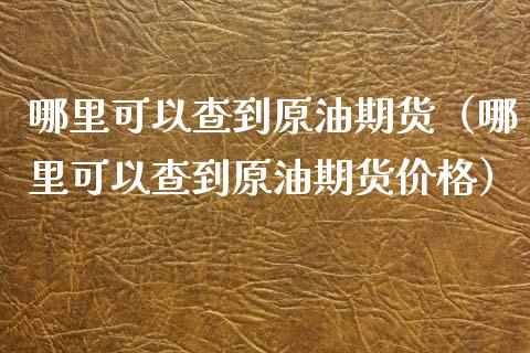 哪里可以查到原油期货（哪里可以查到原油期货价格）_https://www.ltsssb.com_期货密码_第1张