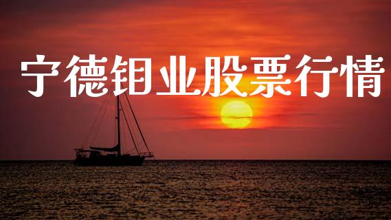 宁德钼业股票行情_https://www.ltsssb.com_股市分析_第1张