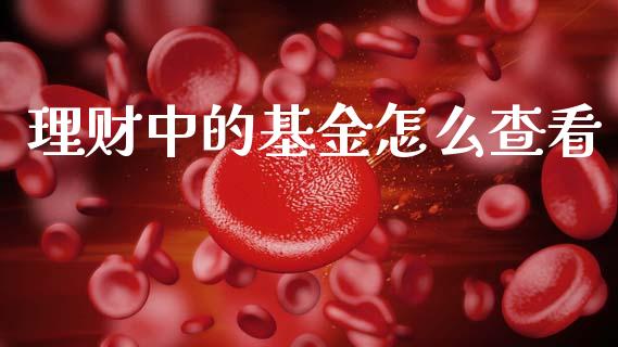 理财中的基金怎么查看_https://www.ltsssb.com_基金频道_第1张