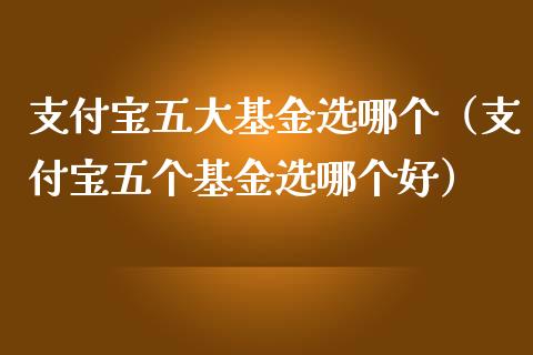 支付宝五大基金选哪个（支付宝五个基金选哪个好）_https://www.ltsssb.com_国际财经_第1张