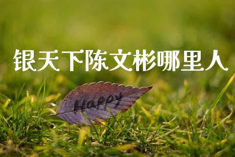 银天下陈文彬哪里人_https://www.ltsssb.com_期货密码_第1张