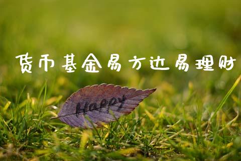 货币基金易方达易理财_https://www.ltsssb.com_基金频道_第1张