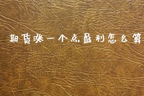 期货涨一个点盈利怎么算_https://www.ltsssb.com_股票理论_第1张