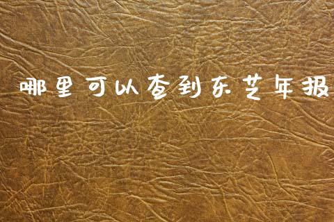 哪里可以查到东芝年报_https://www.ltsssb.com_股票理论_第1张