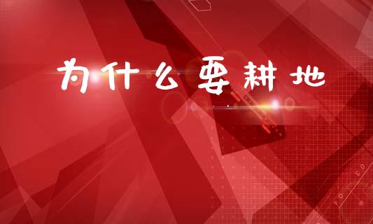 为什么要耕地_https://www.ltsssb.com_基金频道_第1张