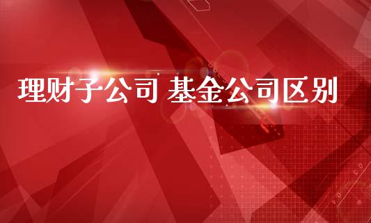 理财子公司 基金公司区别_https://www.ltsssb.com_基金频道_第1张
