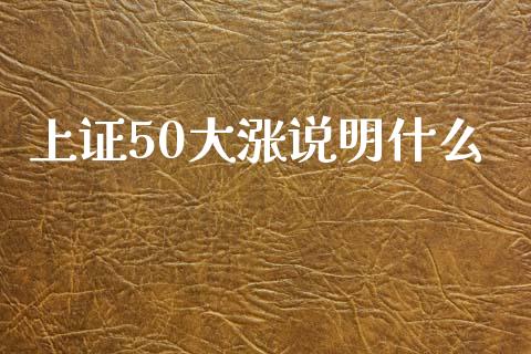 上证50大涨说明什么_https://www.ltsssb.com_期货在线_第1张