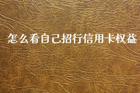 怎么看自己招行信用卡权益_https://www.ltsssb.com_股票理论_第1张