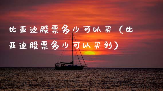 比亚迪股票多少可以买（比亚迪股票多少可以买到）_https://www.ltsssb.com_股市分析_第1张