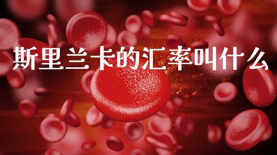 斯里兰卡的汇率叫什么_https://www.ltsssb.com_基金频道_第1张