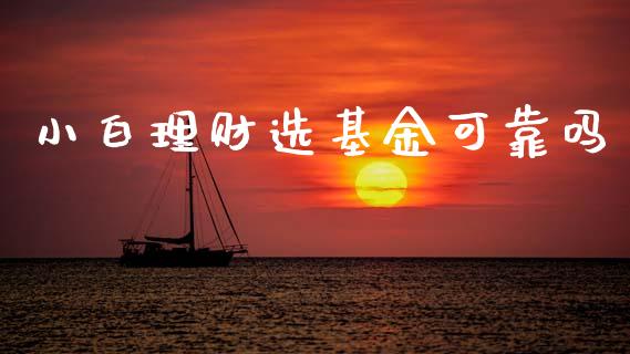 小白理财选基金可靠吗_https://www.ltsssb.com_基金频道_第1张