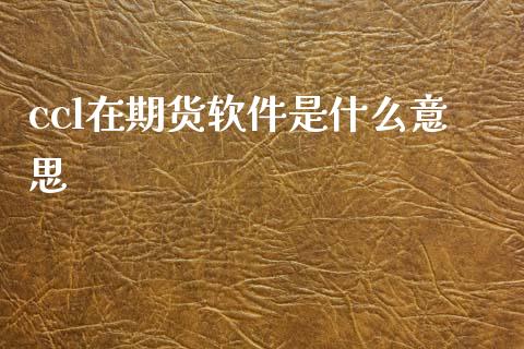 ccl在期货软件是什么意思_股市分析_第1张_IT财经网 ccl在期货软件是什么意思_https://www.ltsssb.com_股市分析_第1张