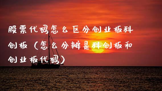 股票代码怎么区分创业板科创板（怎么分辨是科创板和创业板代码）_https://www.ltsssb.com_新股数据_第1张
