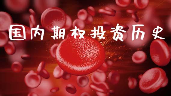 国内期权投资历史_https://www.ltsssb.com_新股数据_第1张