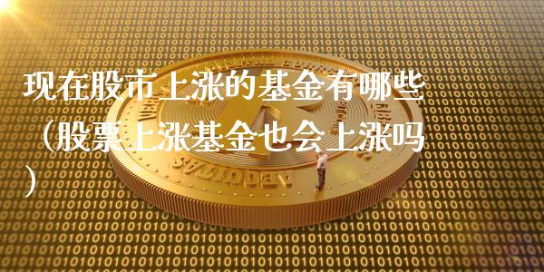 现在股市上涨的基金有哪些（股票上涨基金也会上涨吗）_https://www.ltsssb.com_基金频道_第1张