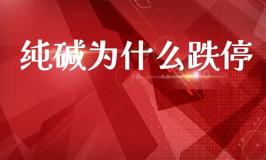 纯碱为什么跌停_https://www.ltsssb.com_国际财经_第1张