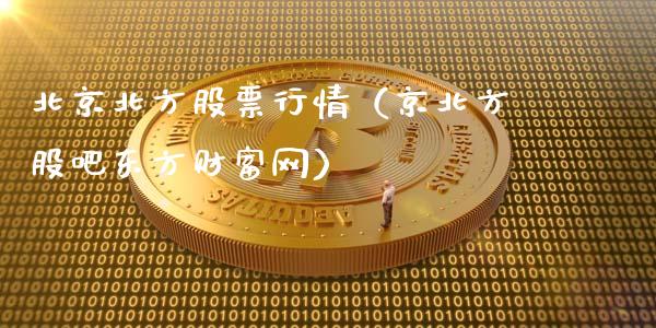 北京北方股票行情（京北方股吧东方财富网）_https://www.ltsssb.com_新股数据_第1张