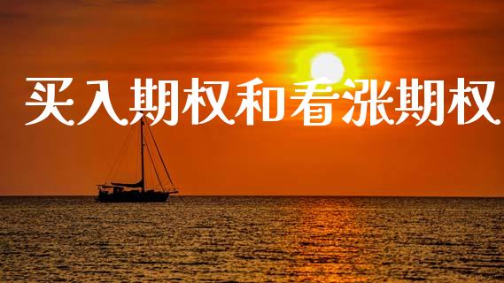买入期权和看涨期权_https://www.ltsssb.com_股市分析_第1张