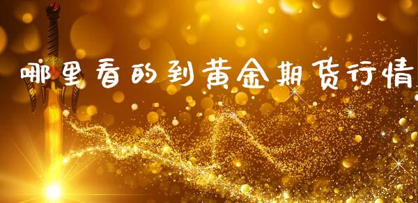 哪里看的到黄金期货行情_https://www.ltsssb.com_期货行情_第1张