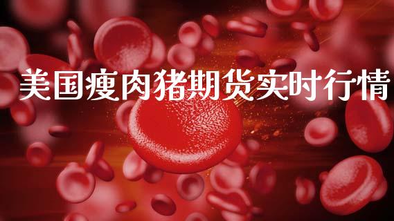 美国瘦肉猪期货实时行情_https://www.ltsssb.com_期货密码_第1张