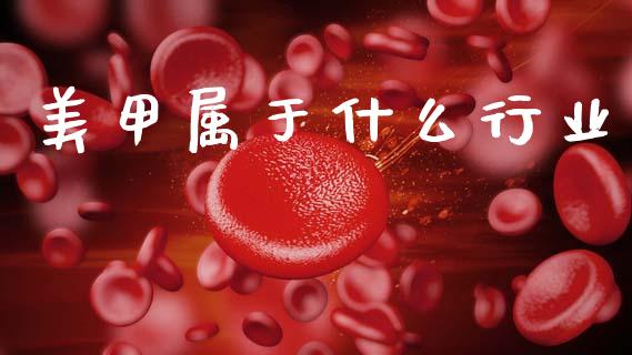 美甲属于什么行业_https://www.ltsssb.com_国际财经_第1张