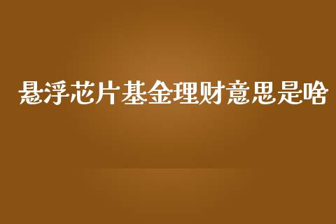 悬浮芯片基金理财意思是啥_https://www.ltsssb.com_基金频道_第1张