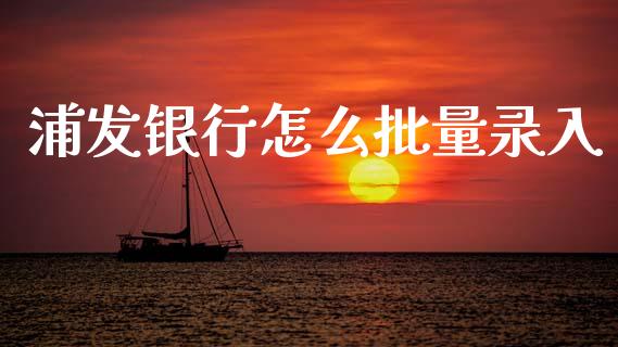 浦发银行怎么批量录入_https://www.ltsssb.com_期货行情_第1张