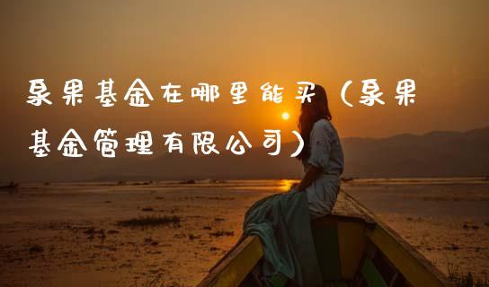 泉果基金在哪里能买（泉果基金管理有限公司）_https://www.ltsssb.com_基金频道_第1张