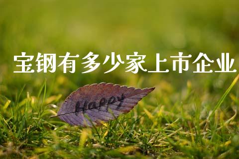 宝钢有多少家上市企业_https://www.ltsssb.com_期货在线_第1张