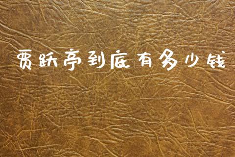 贾跃亭到底有多少钱_https://www.ltsssb.com_新股数据_第1张