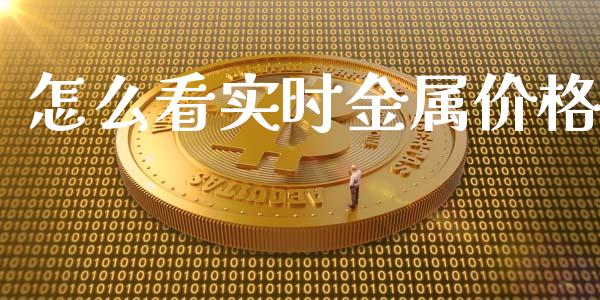 怎么看实时金属价格_https://www.ltsssb.com_基金频道_第1张