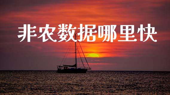 非农数据哪里快_https://www.ltsssb.com_基金频道_第1张