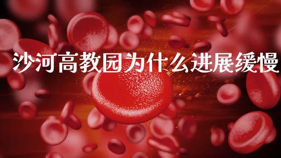 沙河高教园为什么进展缓慢_https://www.ltsssb.com_国际财经_第1张