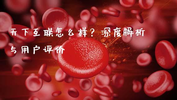 天下互联怎么样？深度解析与用户评价_https://www.ltsssb.com_新股数据_第1张