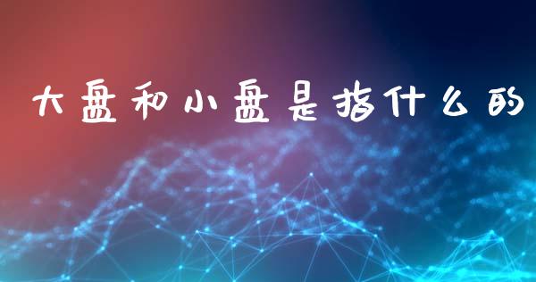 大盘和小盘是指什么的_https://www.ltsssb.com_新股数据_第1张