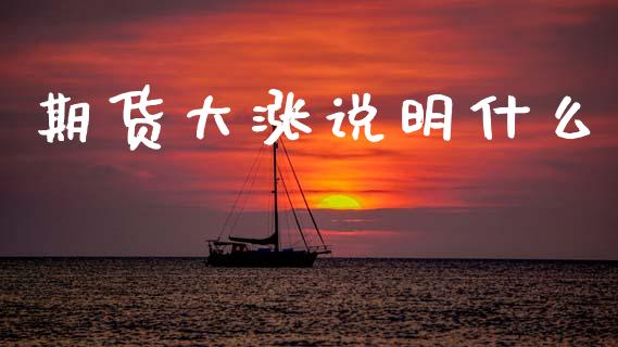 期货大涨说明什么_https://www.ltsssb.com_期货行情_第1张