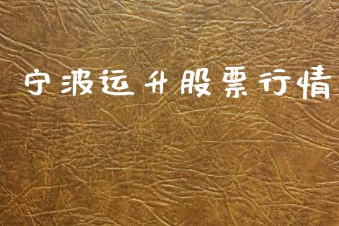 宁波运升股票行情_https://www.ltsssb.com_股市分析_第1张