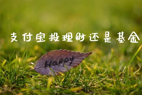 支付宝投理财还是基金_https://www.ltsssb.com_国际财经_第1张