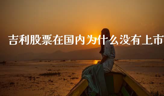 吉利股票在国内为什么没有上市_https://www.ltsssb.com_新股数据_第1张