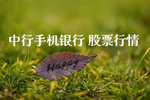 中行手机银行 股票行情_https://www.ltsssb.com_股市分析_第1张