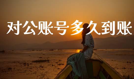 对公账号多久到账_https://www.ltsssb.com_股票理论_第1张