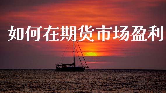 如何在期货市场盈利_https://www.ltsssb.com_新股数据_第1张